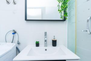 Beachfront Penthouse Planjka