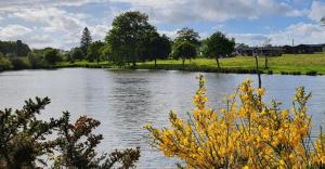 Campings Domaine de la Hechaie : photos des chambres