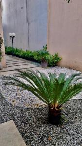 COP 30 - Casa de Alto Padrão em Condômino