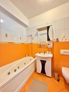 Apartament Central Satu Mare