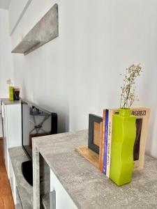 Apartament Central Satu Mare