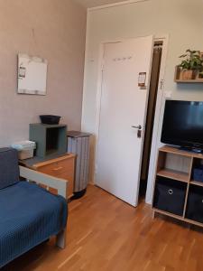 Majoitus keskustassa (Viihtyisä huone kaksiossa)