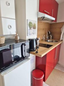 Appartements Le Petit Brevin : photos des chambres