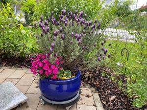 Ferienwohnung mit Salzachblick
