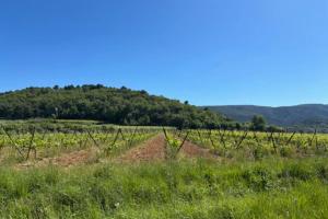"La Lacoste Charm and View of the Luberon"