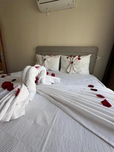 Nativo Otel