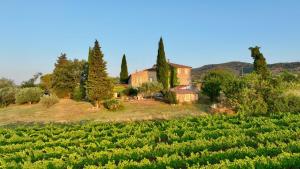 B&B / Chambres d'hotes Mas des Molieres : photos des chambres