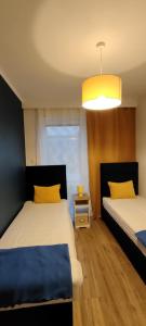 Amber LOFT Witkiewicza