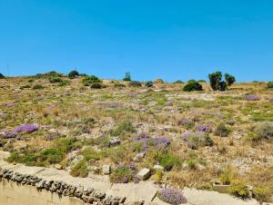 Sunset Haven Manikata - Walking distance to Golden Bay