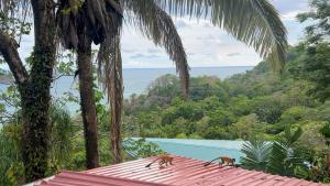 2 BD Villa with Sweeping Views of Manuel Antonio