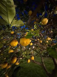 Dear Mary, B&B romantico vicino Lecce nel cuore del Salento