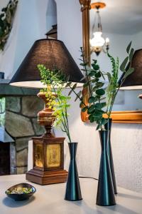 Efcharis house Skopelos