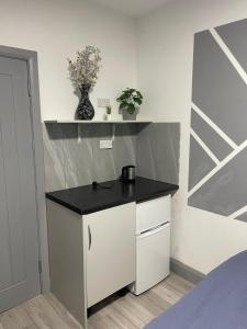 En-Suite Double Room in Hounslow