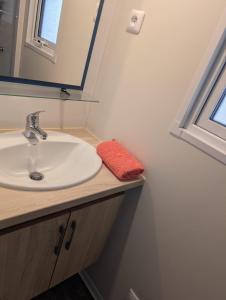 Campings Domaine de la Hechaie : Mobile Home