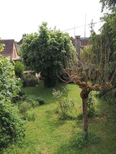 Charmante maison de centre bourg avec jardin