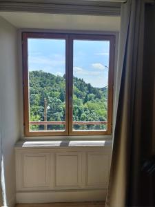 Appartements Vue Volcans Studio de Charme Thiers Centre : photos des chambres