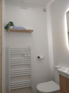Appartements Vue Volcans Studio de Charme Thiers Centre : Appartement 1 Chambre