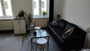 Vienna as its best Apartment Kokoschka