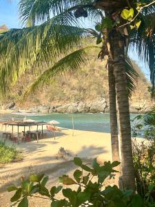 Habitaciones en casa De los árboles en la playa con alberca