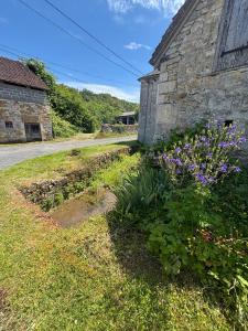 Maisons de vacances La Maison du Ruisseau : photos des chambres