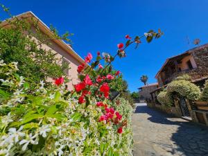 La flabellina blu img20