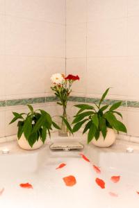 Deluxe Suite with Spa Bath