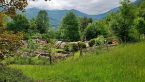 Cabane Myrtille