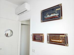 La flabellina blu img27