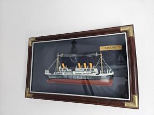 La flabellina blu img30