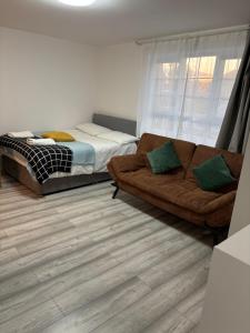 private Studio with its own kitchen and bathroom