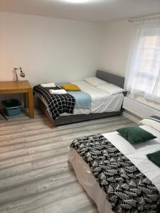 private Studio with its own kitchen and bathroom