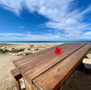 Shelly FantaSea - Paradise Beach, Beachfront
