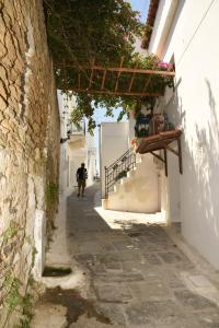 Traditional Ηouse - Endless Aegean Sea View