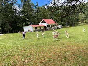 Rancho Ecológico El Mirador
