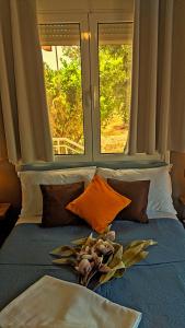 Summer House Rocinante 1