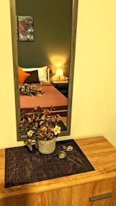 Summer House Rocinante 1