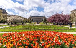 Studio très joli rénové quartier Notre-Dame Jardin des Plantes Panthéon près de la Seine