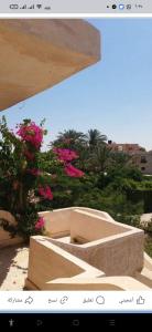 شالية مارينا العلمين