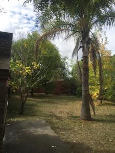 Lugar Paraiso