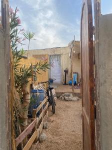 The way house