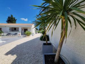 Villas Parasar : photos des chambres