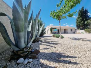 Villas Parasar : photos des chambres