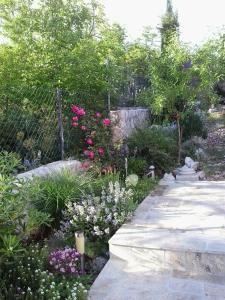 Apartment Novi Vinodolski 15292b