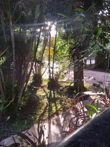 Sítio em Natureza Exuberante!