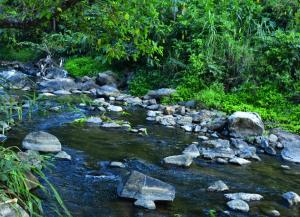 River Valley Retreat Coorg