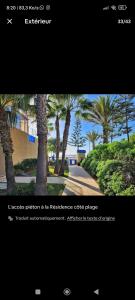 paradise essaouira appartement