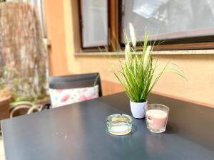 Courtyard Flats House URBAN STAY