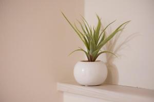 北彩都テラス c棟