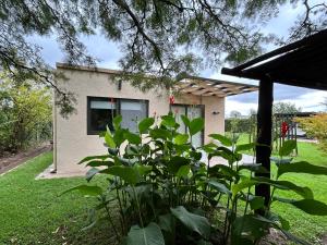 Loft Los Cerezos en VISTALBA, zona de viñedos y bodegas