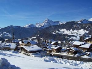 Appartements Studio skis aux pieds, animaux acceptes, parking, balcon, 4 personnes - FR-1-505-230 : photos des chambres